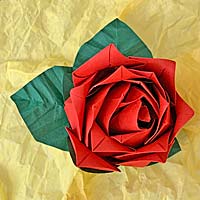 Modular Rose