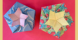 [Pentagonal Bellflower Boxes]